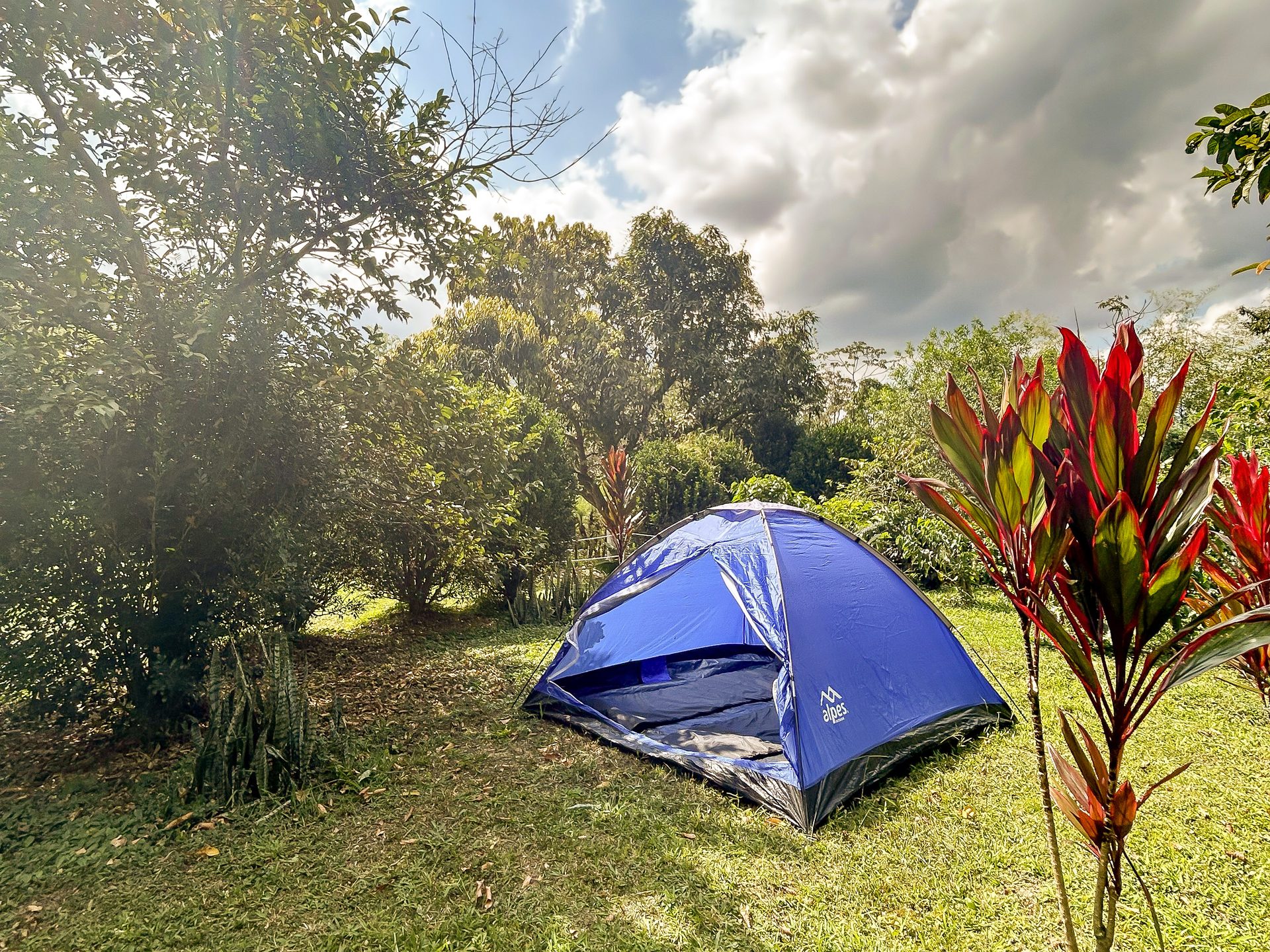 Camping en El Nido Andino